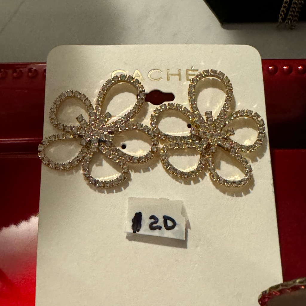 Brand New Gorgeous Earrings.